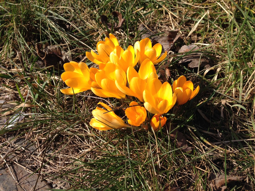 Yay spring!
